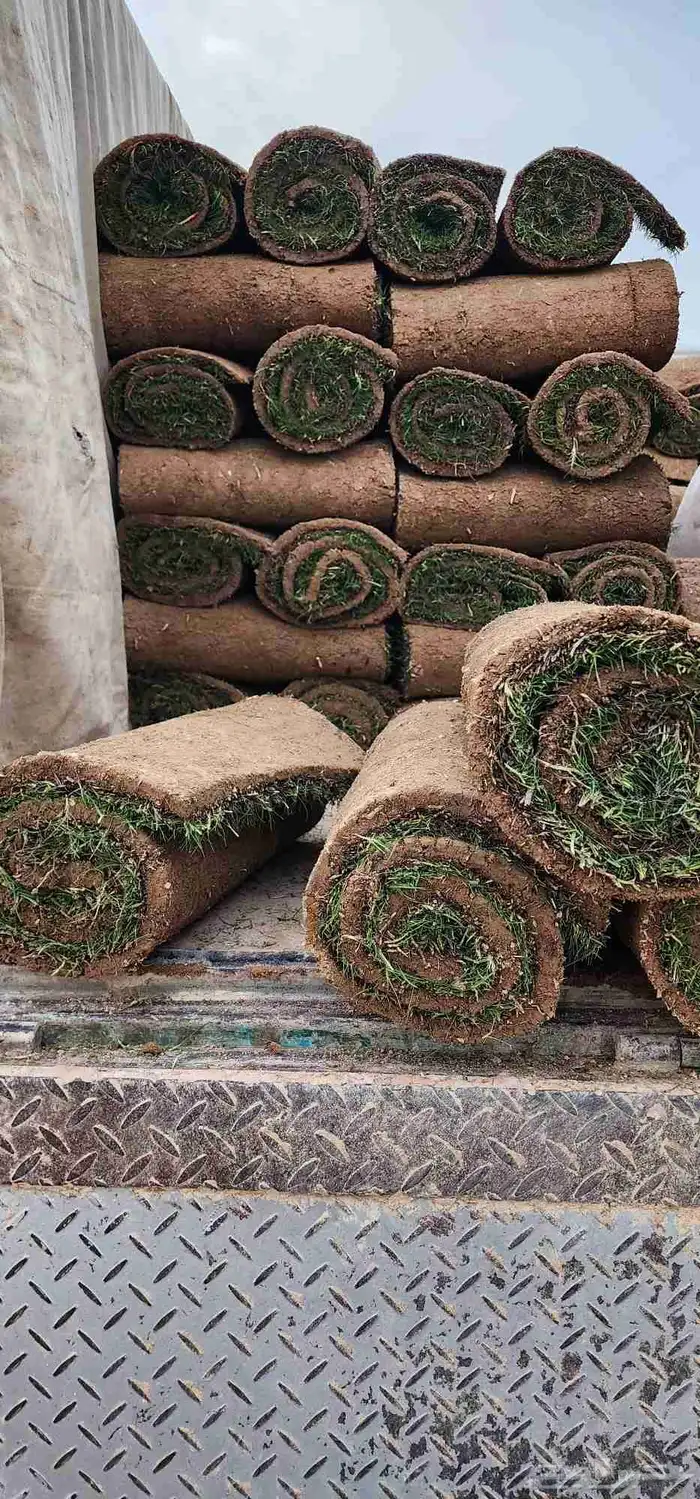 ثيل طبيعي انجيله 5