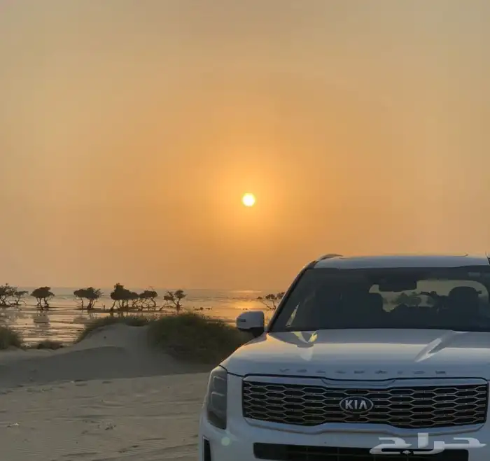 كيا تيلورايد 2020 استاندر دبل 3