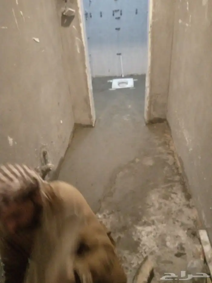 مبلط ا ستاني 1