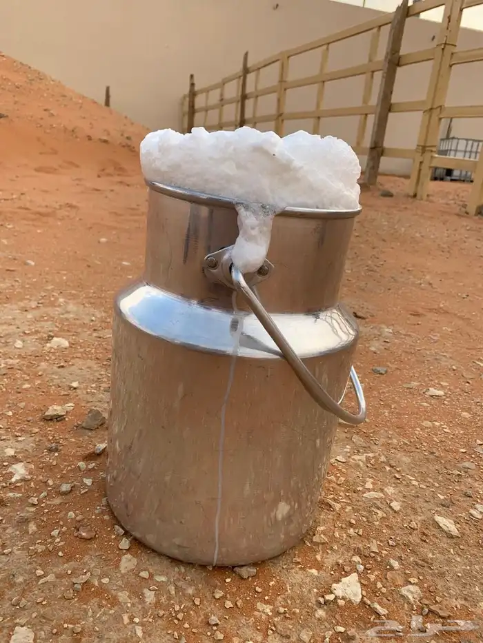 ضروبه مجهم طيبه عند بعارين هيف 1