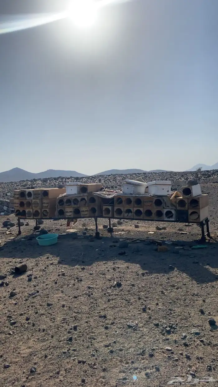 خشب نحل جديد نظيف جدا 0