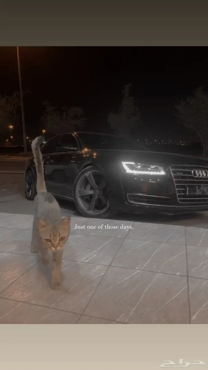 اودي 0