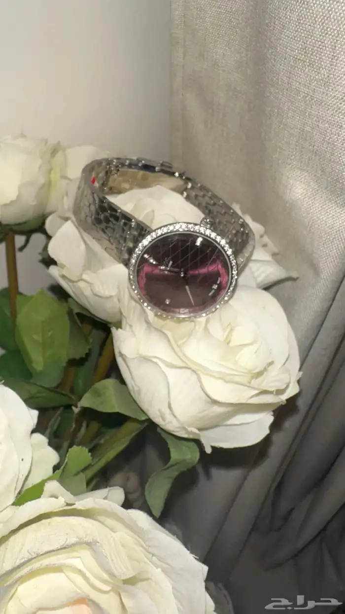 ساعة من كارديال لم تلبس 2