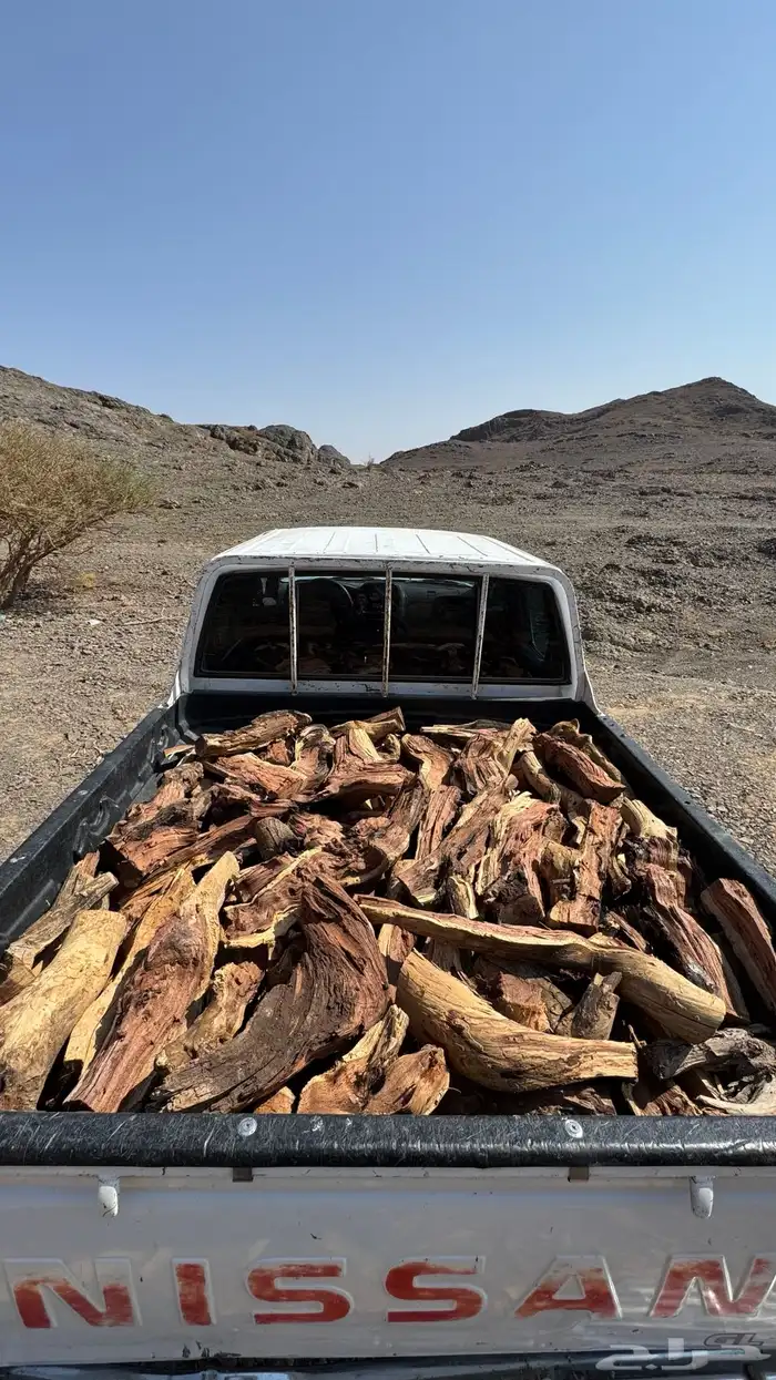 ددسن غمارتين 0