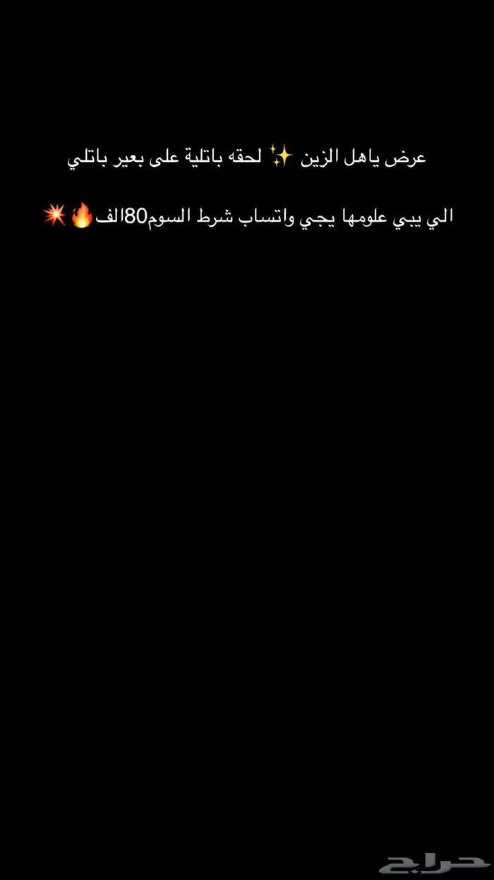وضحا باتلية كفو كفو 0