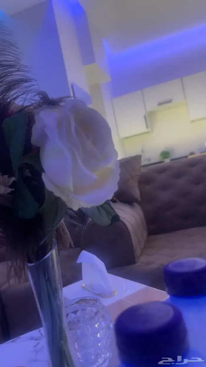 استديو إيجار يومي موقع مميز عن طريق جاذرن الموقع ادناه 5