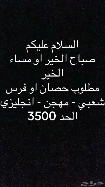 مطلوب خيل شعبي - انجليزي 0