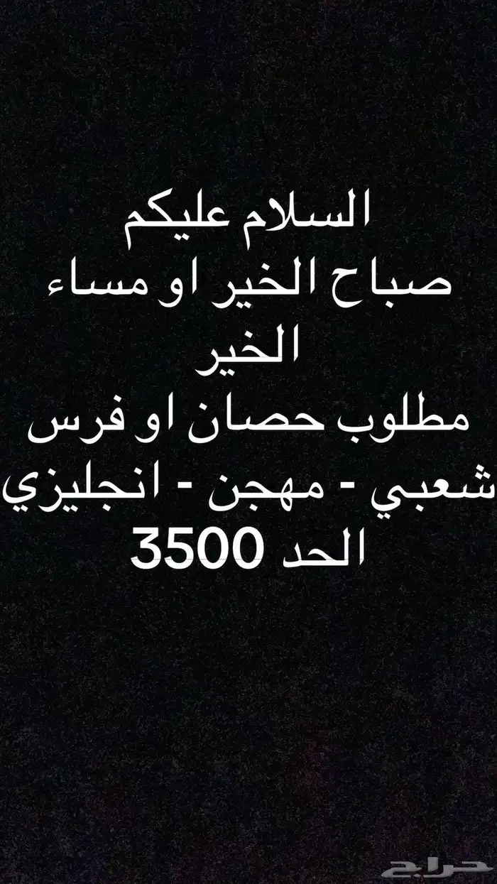 مطلوب خيل شعبي - انجليزي 0