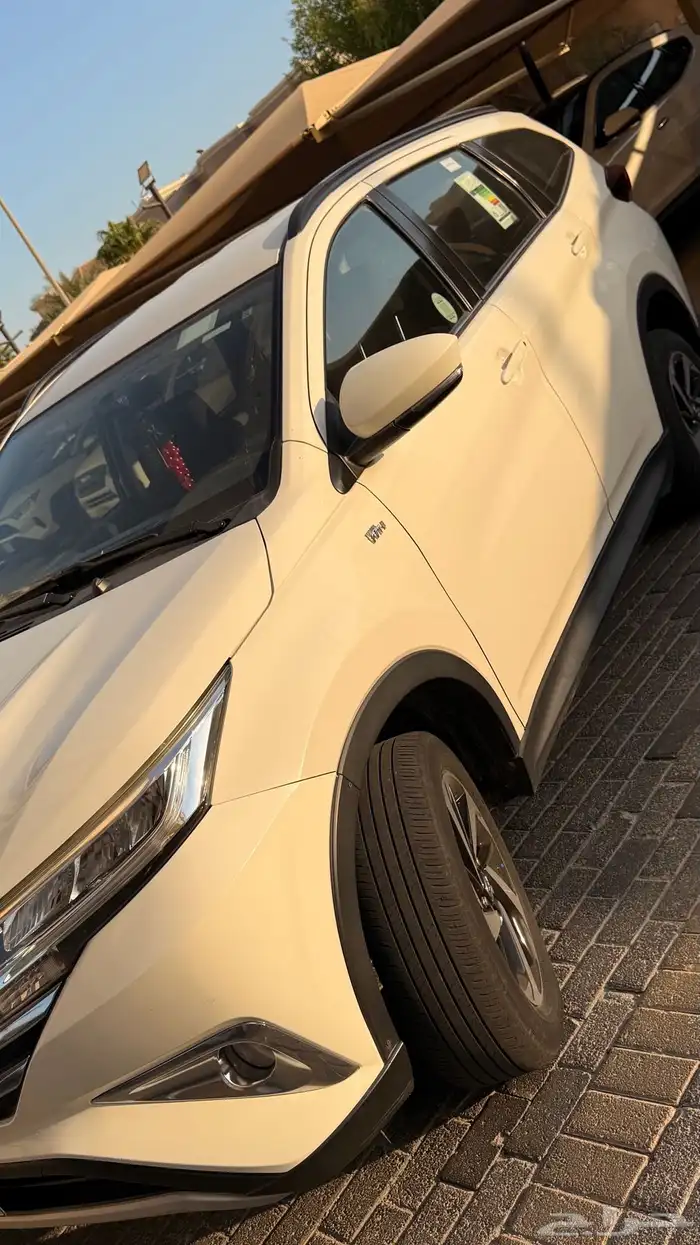الخبر 5