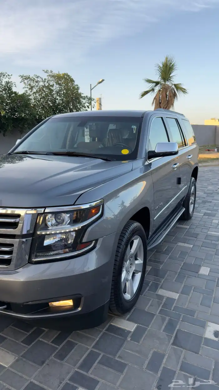 تاهو مطور مون لايت 2020 15