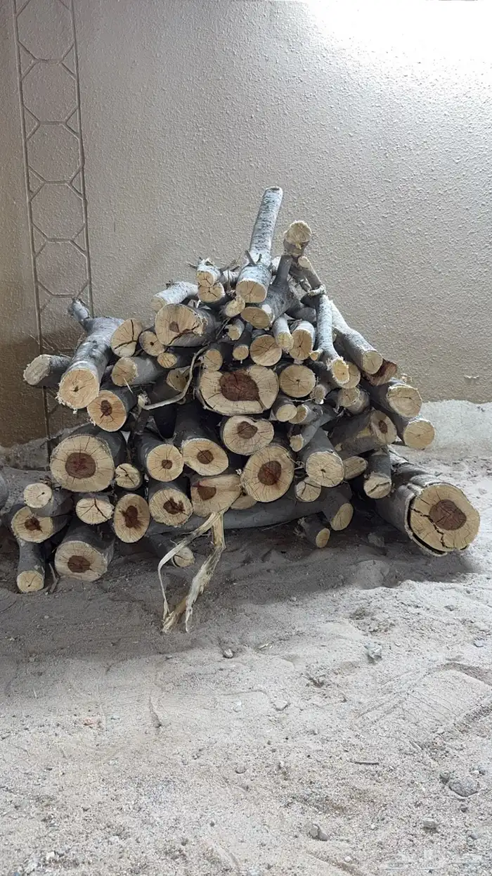 شجر البيع كفو 0