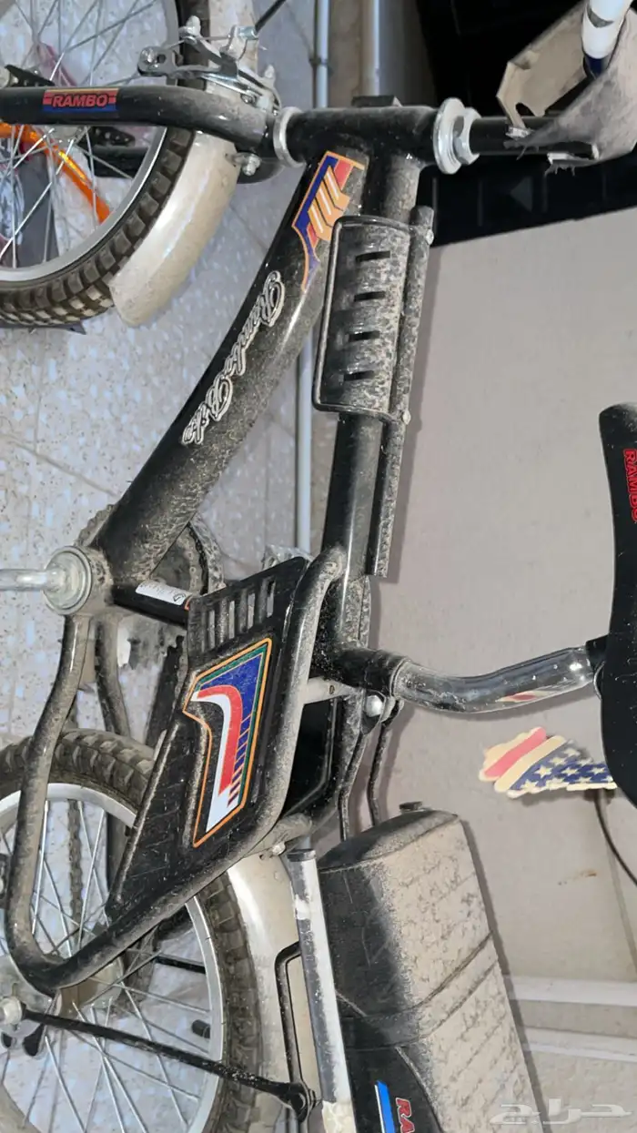 رامبو اصلي370 3