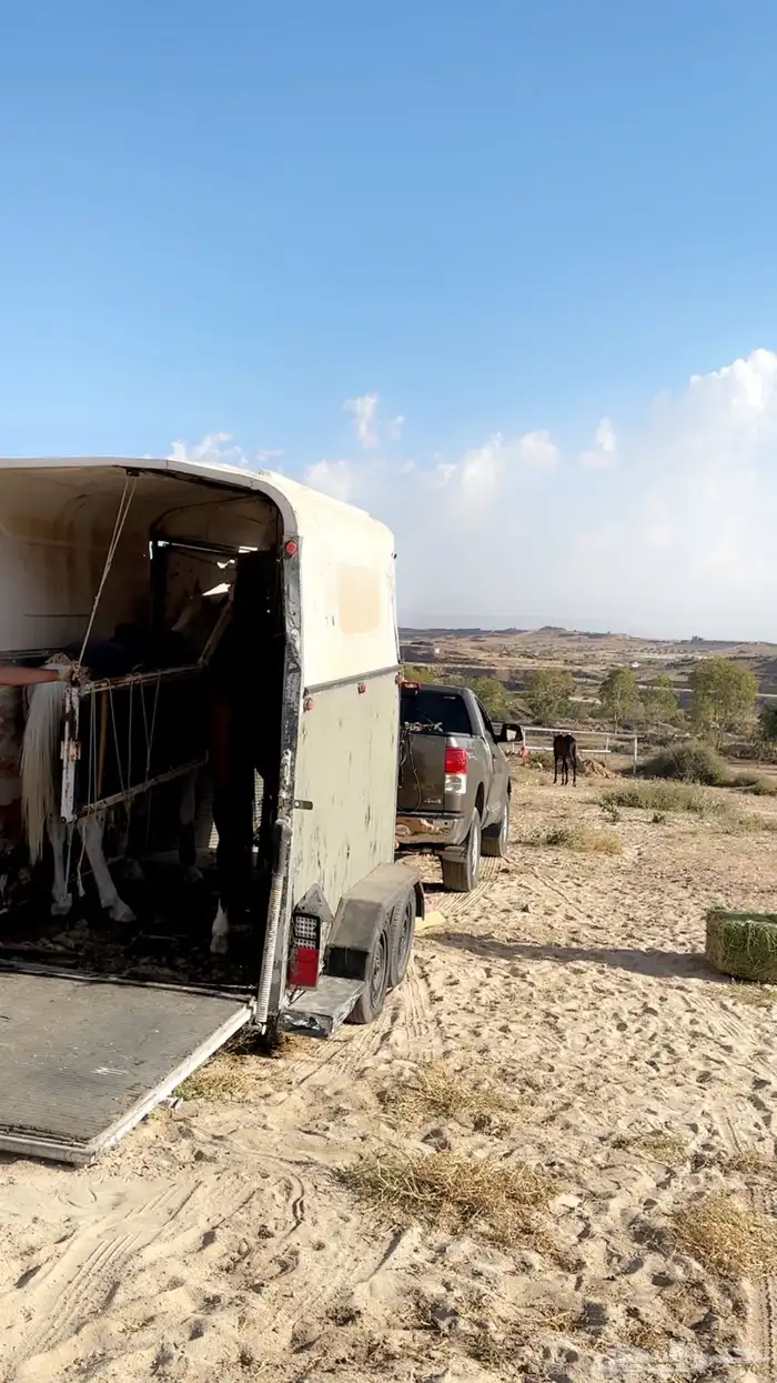 سحب عربات نحل وكرفانات وفود ترك جميع العربات سحب 8