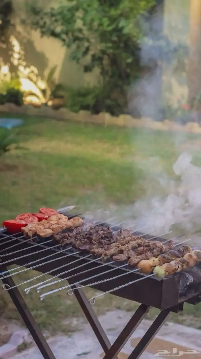 حفلات شواء 2