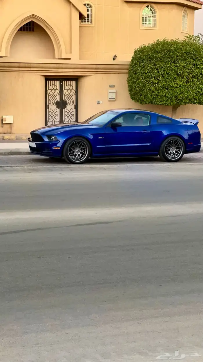 موستنج 2013 6