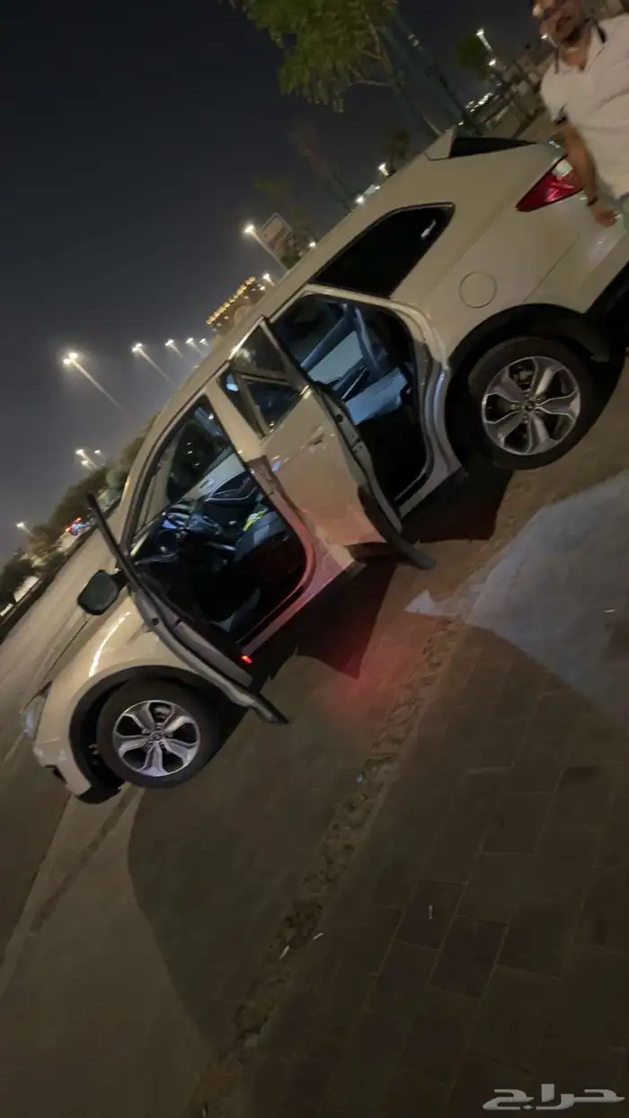 سنتافي 2014 7
