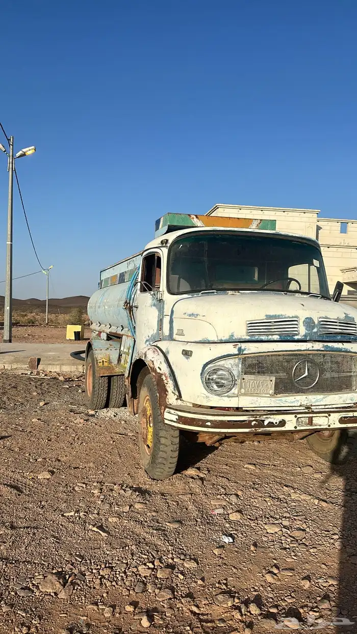 أسنان للبيع ثلاث أسابيع مو موديل 73 1