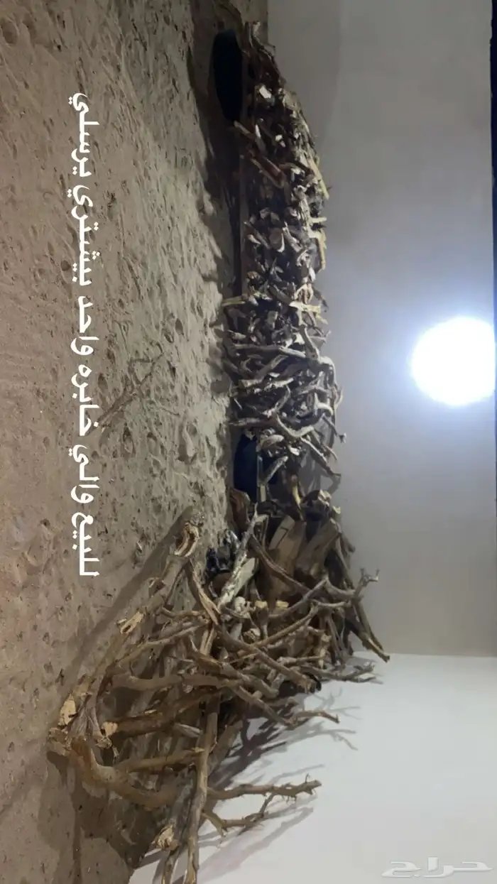 خشب للبيع كامري 0