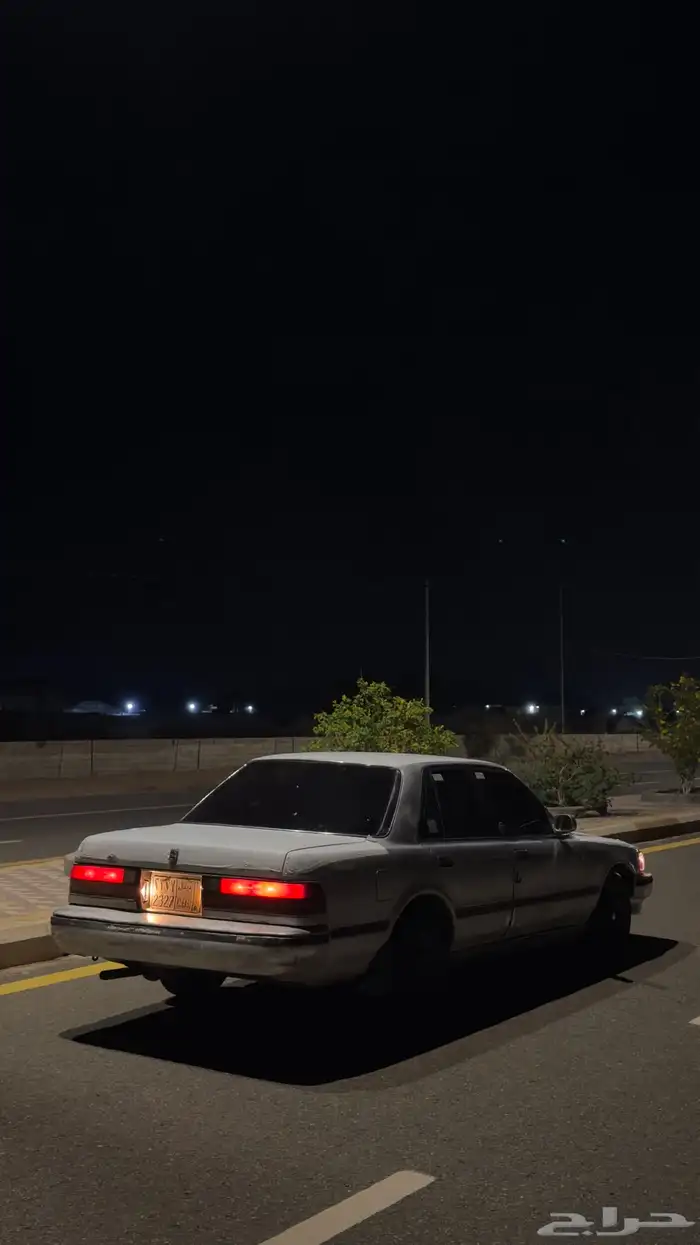 كراسيدا بدون اوراق مديل 1989 1
