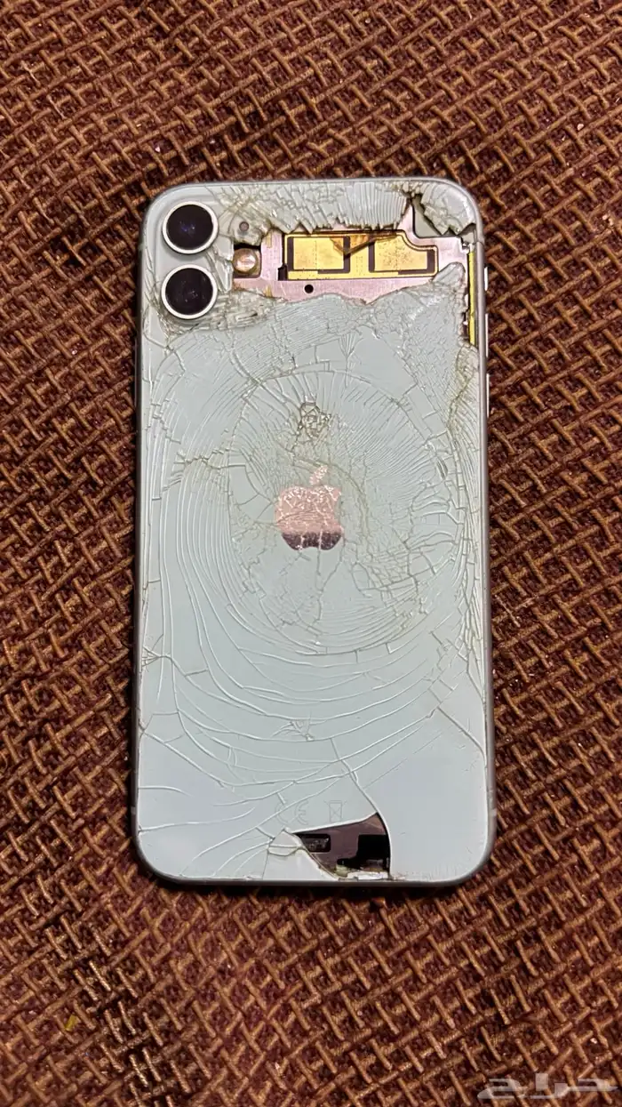 ايفون 11 العادي 0