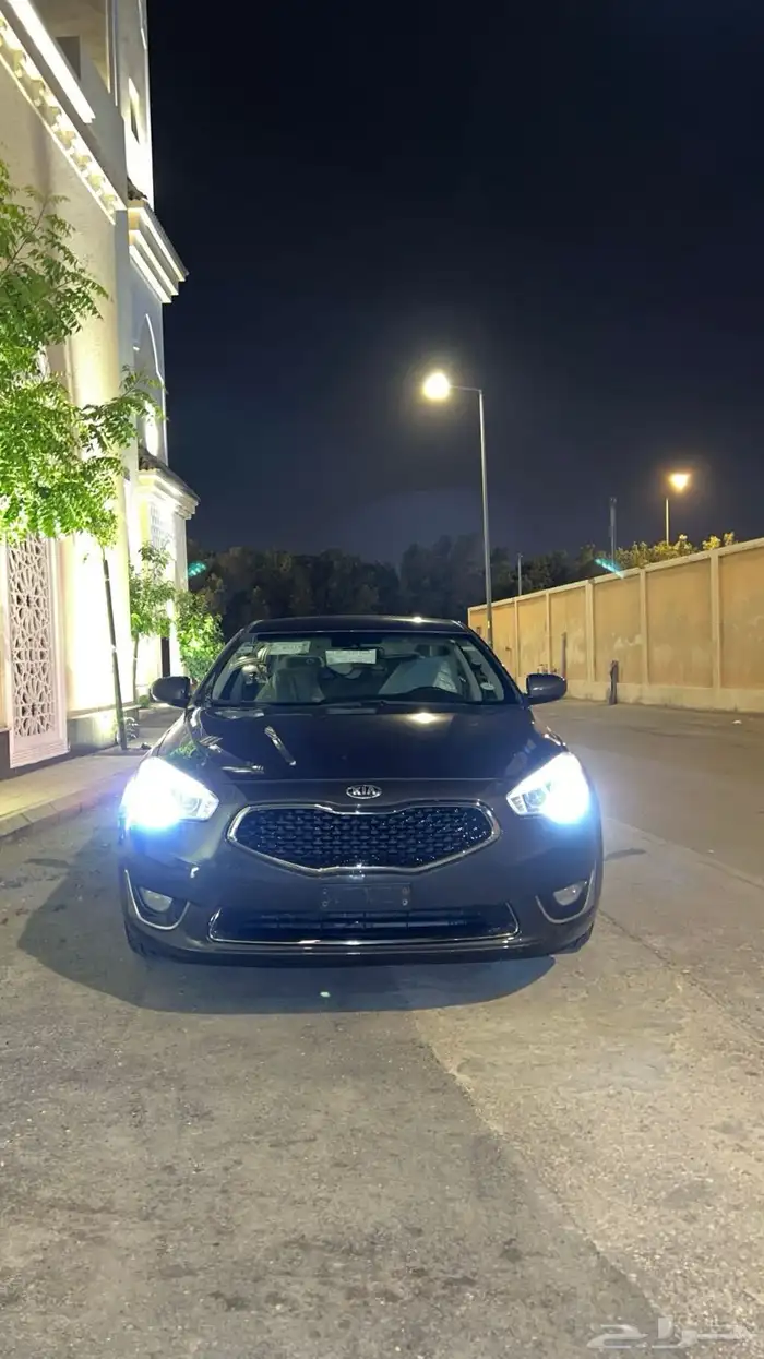 كادينزا 2014 2