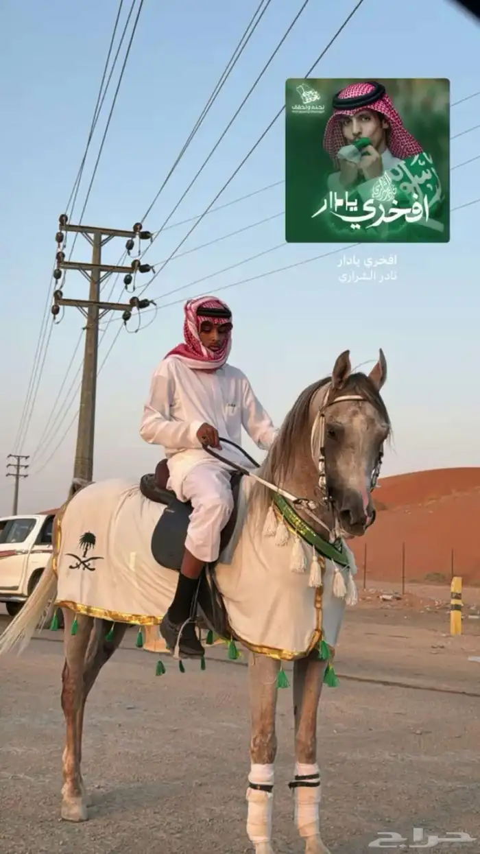 عندي حصان واهو. للبيع 12