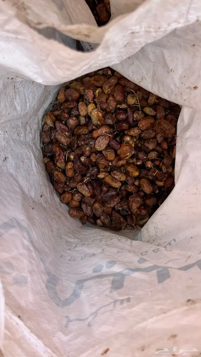 تمر علف للبهايم طري وليس يابس 0