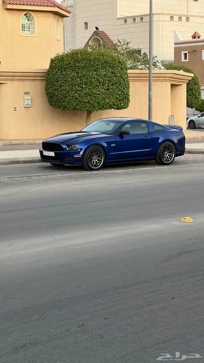 موستنج 2013 7
