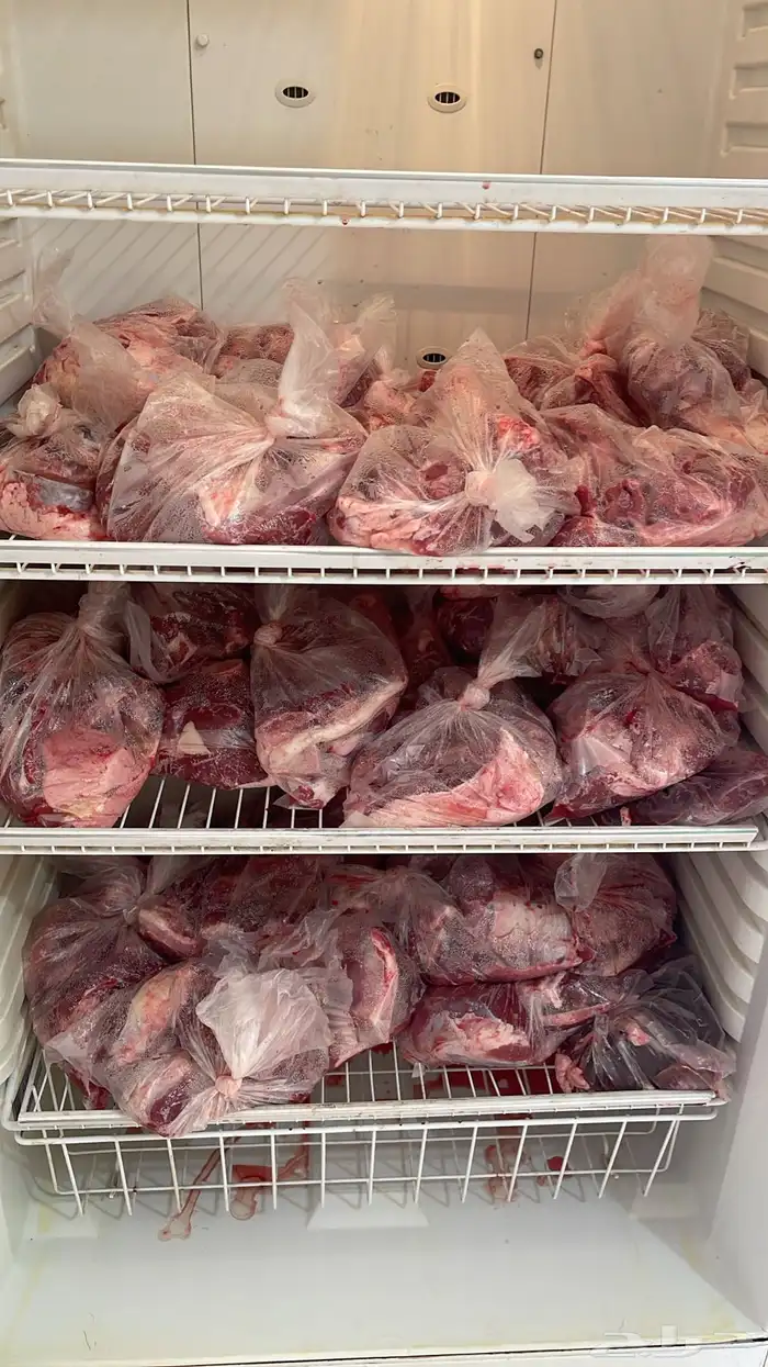 للبيع ربع ونص حاشي مستورد مذبوح 0