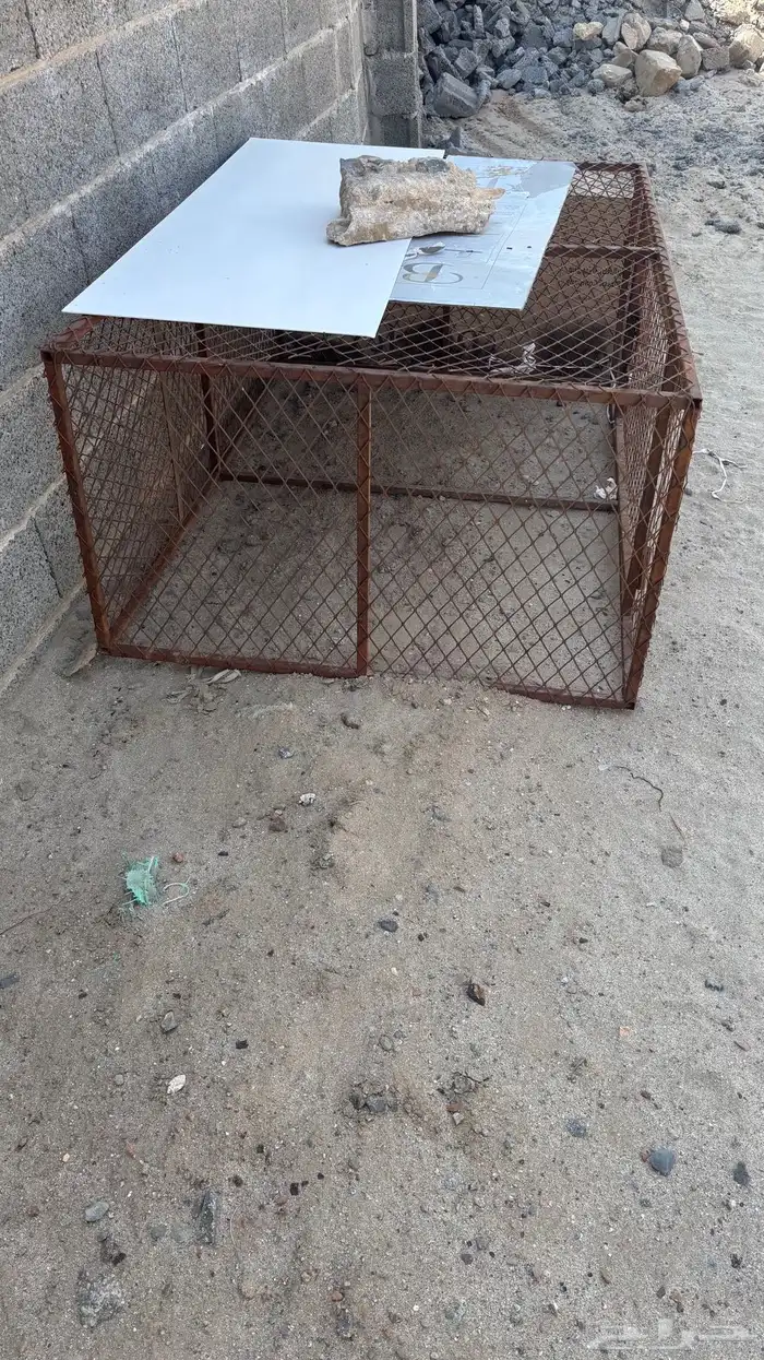 شبك دجاج طول مترين عرض متر 1