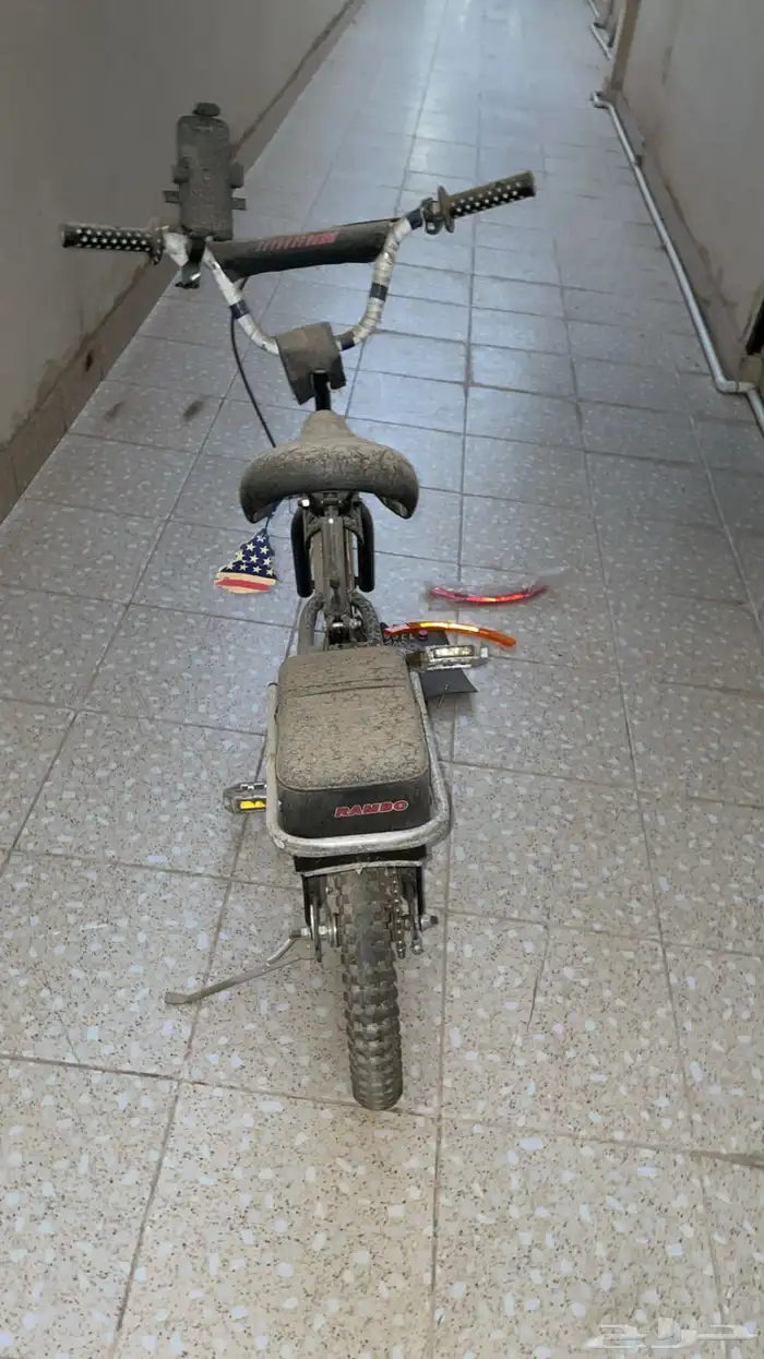 رامبو اصلي370 2