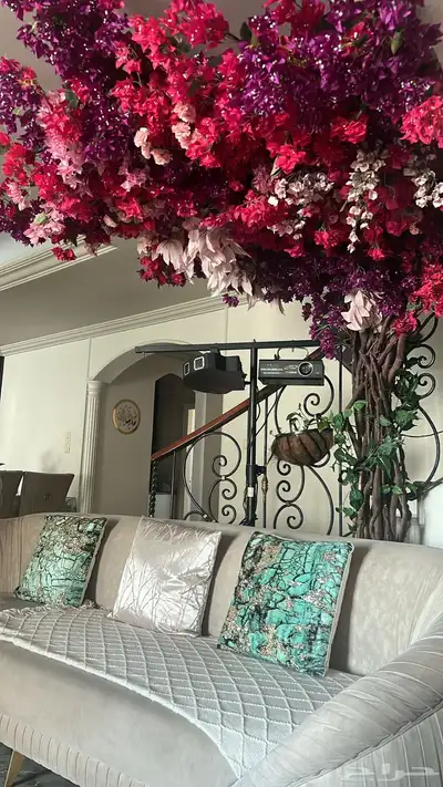 فيلا للايجار مؤثثه حي الشاطئ Rent villah index