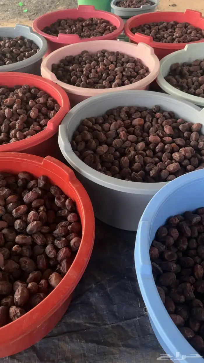 للبيع تمر حلوه بقعاء 10