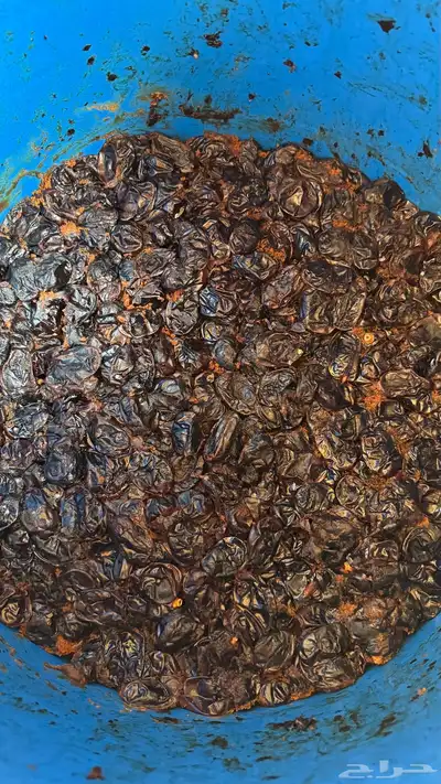 تمر حلوة الجوف index