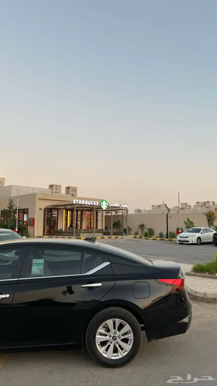 التيما ستاندر للتقبيل بدون مقابل 2