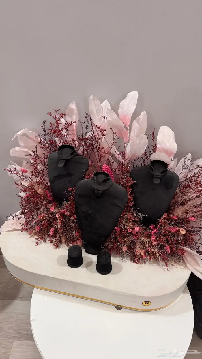 ستاند شبكة 0