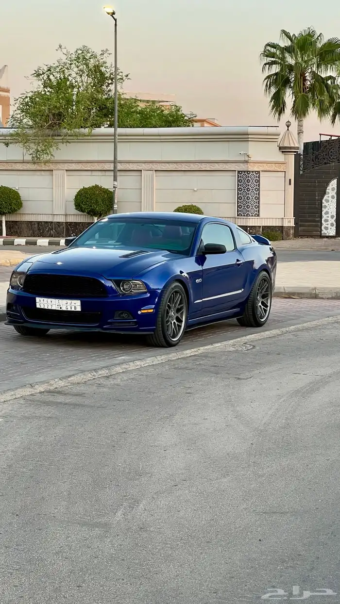 موستنج 2013 1