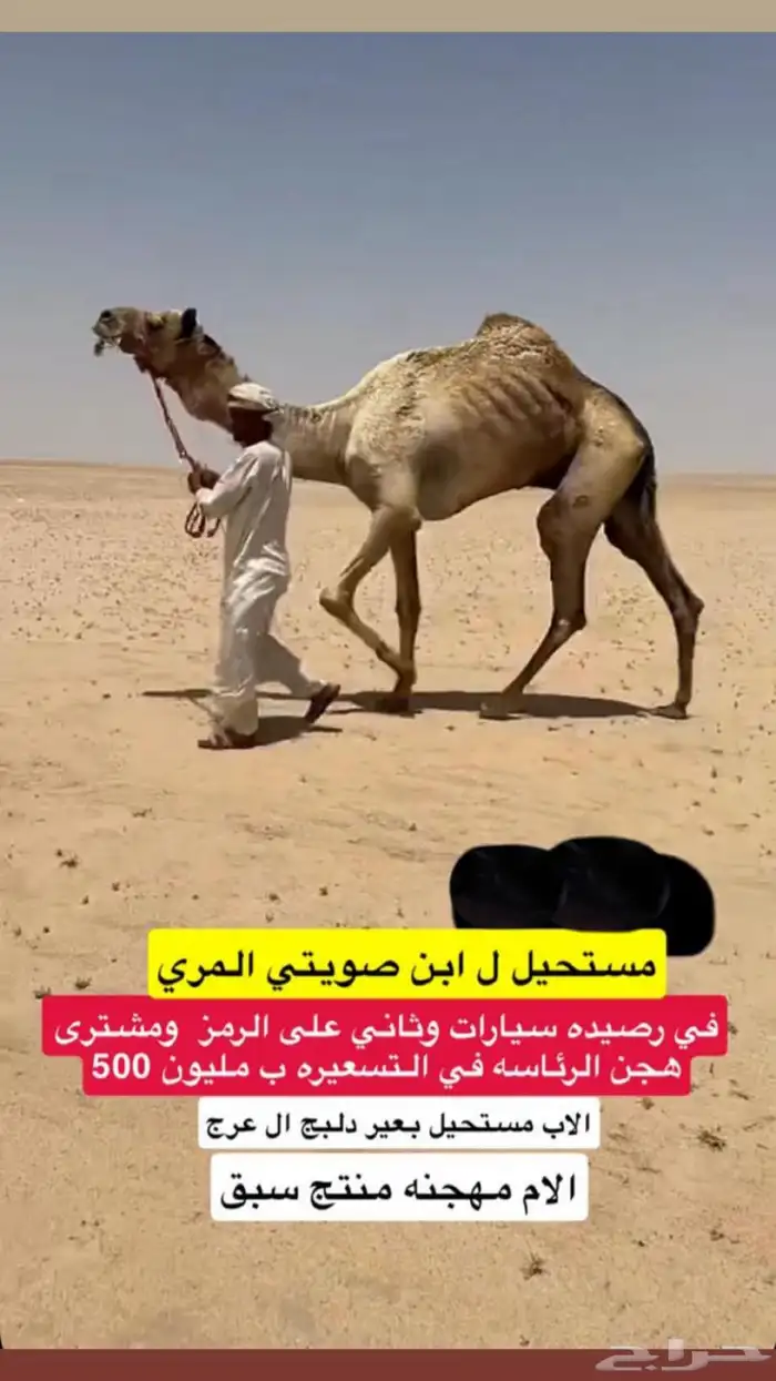 للبيع متلي مدني هجن 2