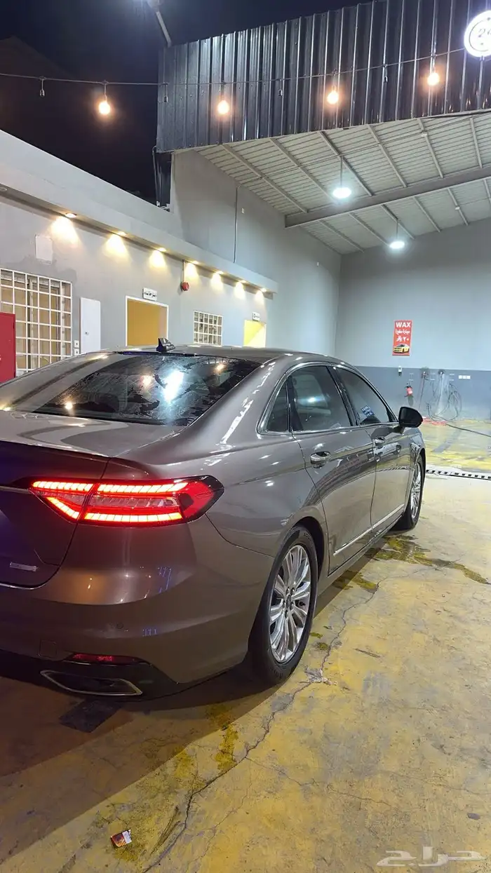 تورس 2020 بني 12