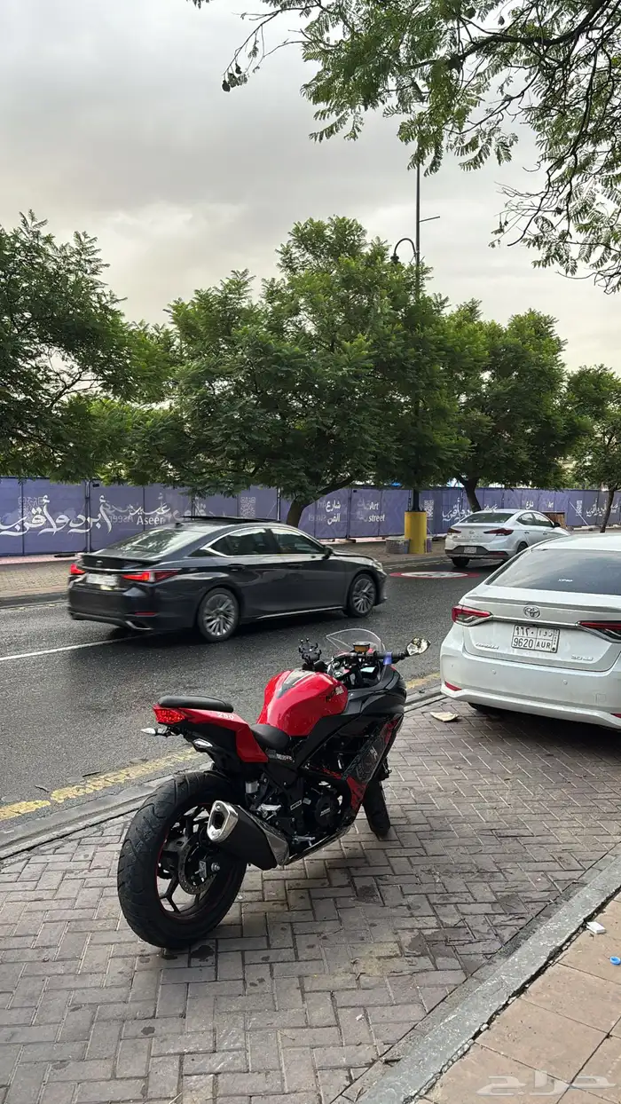 دباب ريس 250 صيني 7