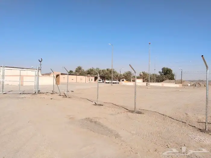 شبوك مزارع 2