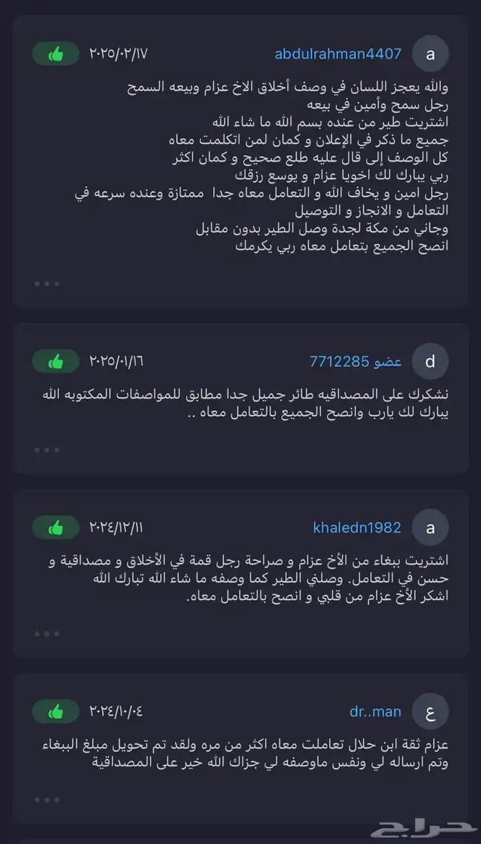 ببغاء كاسكو اسطورة بالكلام 11
