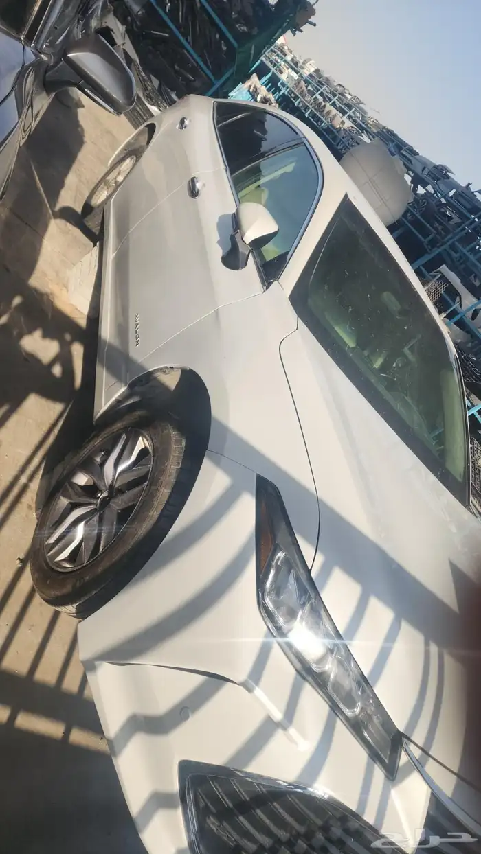 افلون 2019 5