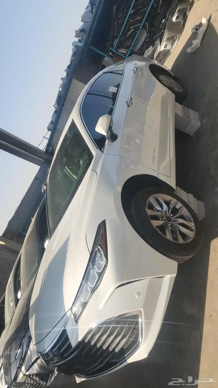 افلون 2019 1