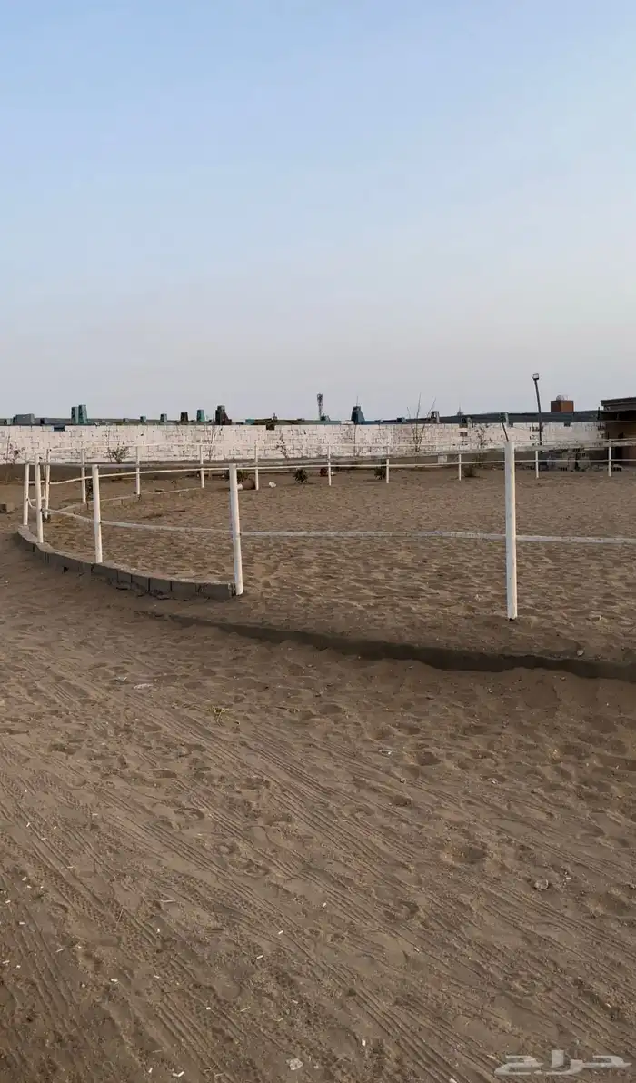 ايواء خيل وتدريب الحمدانية 13