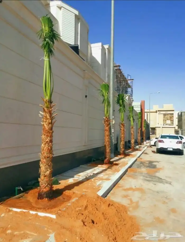 ابو ناصر لتوريد وتركيب جميع انواع انخل المثمر وزينه 1