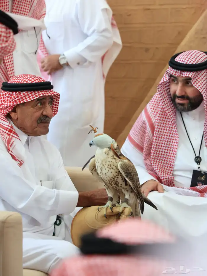 مصور زواجات   مؤتمرات   شخصي 7