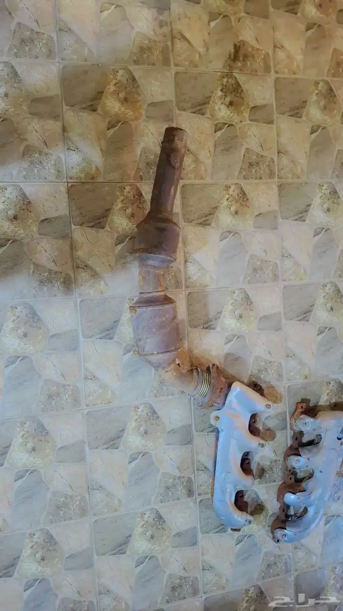 قزوز مفرغ 1