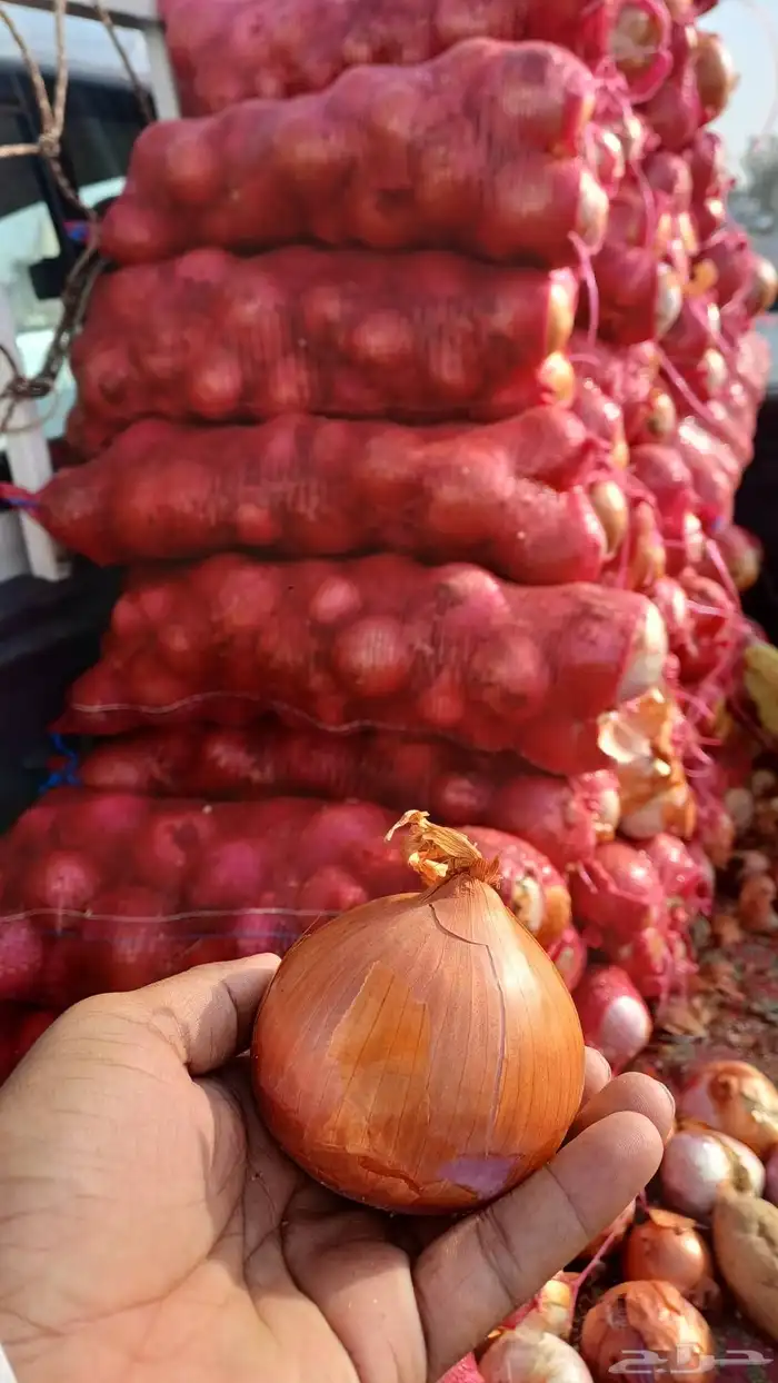 متوفر رمان بصل بطاطس 1