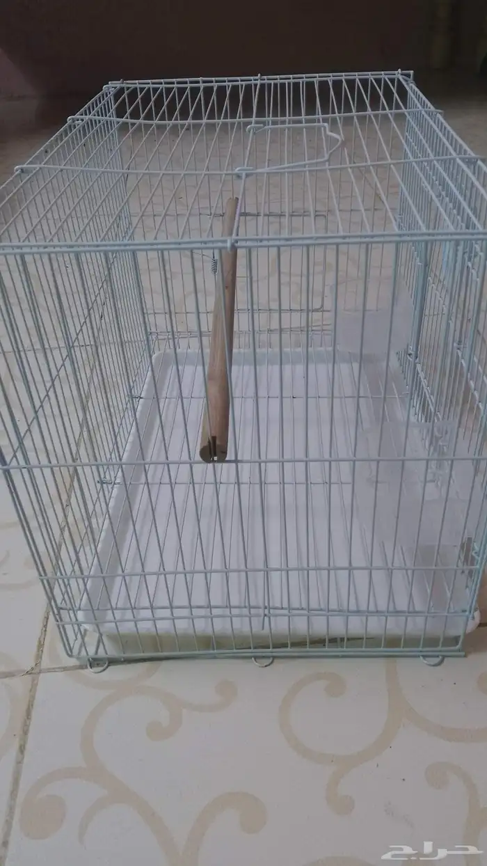 قفص 1